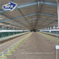 Design Prefab Broiler Chicken Animal Shed Poultry Farm